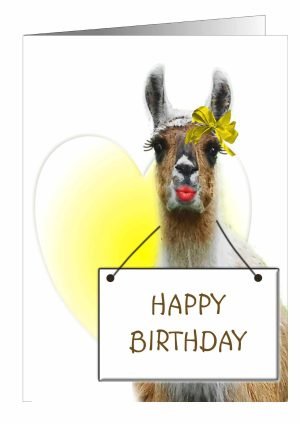 llama-birthday-card-1.jpg