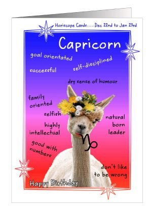 llama-birthday-card-capricorn-1.jpg