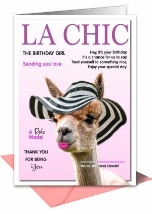 llama-birthday-card-chic-1.jpg