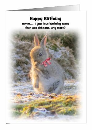 rabbit-birthday-card-cake-1.jpg