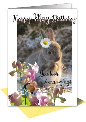 rabbit-may-card-1.jpg