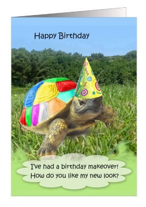 tortoise-birthday-card-painted-shell-1.jpg