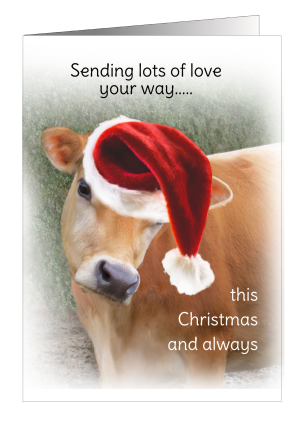 christmas-card-cow-sending-you-lots-of-love-1.png
