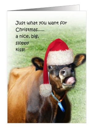 christmas-card-cow-sloppy-kiss-1.png