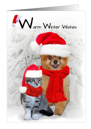 christmas-card-dog-cat-warm-winter-wishes-1.png
