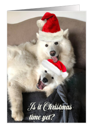 christmas-card-dogs-is-it-christmas-time-yet-1.png