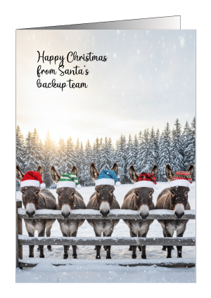 christmas-card-donkeys-happy-christmas-from-santas-backup-team-2-scaled.png