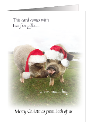 christmas-card-pigs-this-card-comes-with-two-free-gifts-1.png