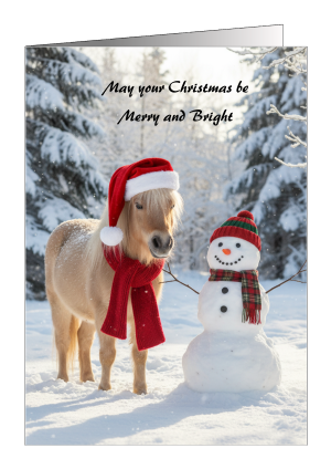 christmas-card-pony-may-your-christmas-be-merry-and-white-1-scaled.png