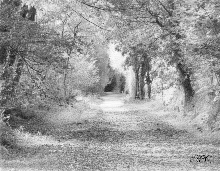 autumn-forest-pathway-pencil-sketch-1.png