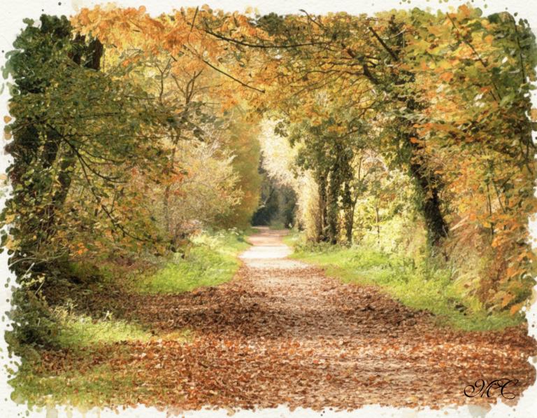 autumn-forest-pathway-watercolour-painting-1.png