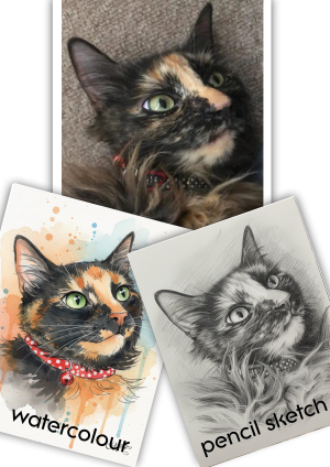 cat-watercolour-painting-pencil-sketch-scaled.png
