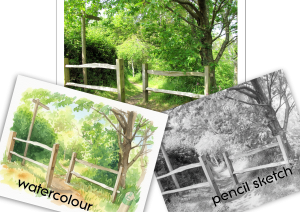 forest-pathway-watercolour-painting-pencil-sketch-scaled.png