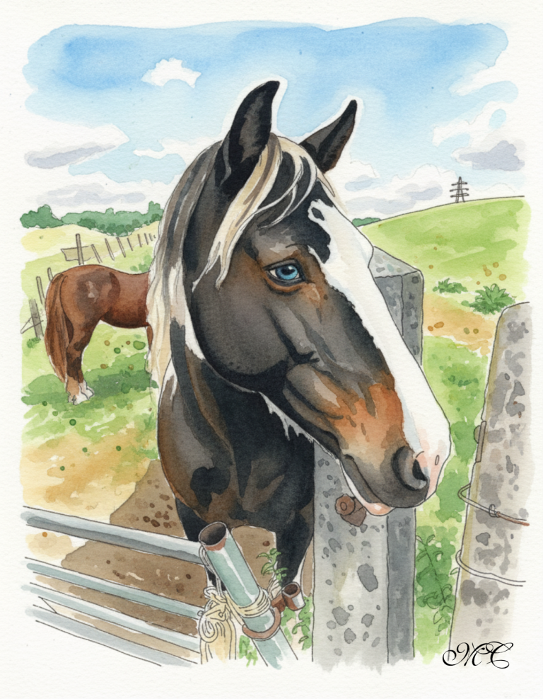 horse-watercolour-2.png