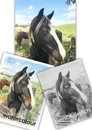 horse-watercolour-painting-pencil-sketch-1-scaled.png