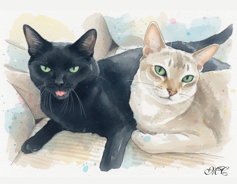 two-cats-black-and-grey-watercolour-painting-1.png