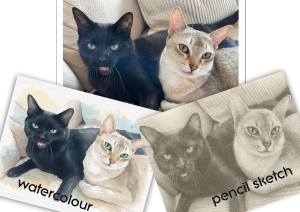 two-cats-black-and-white-watercolour-painting-pencil-sketch-scaled.png